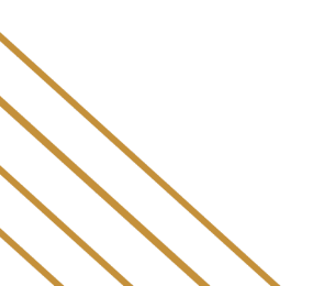 Floor plan-Line Element Bottom
